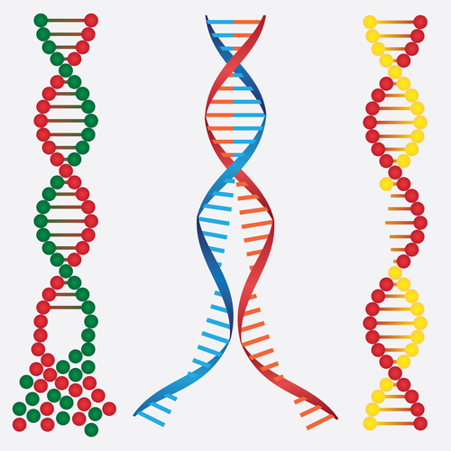 Hereditary or Genetic Neuropathy - MCVitamins